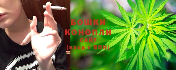 сатива Баксан