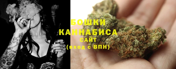 сатива Баксан
