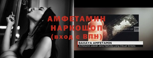сатива Баксан