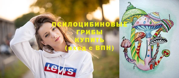 сатива Баксан