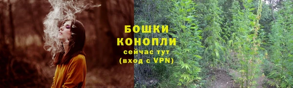 сатива Баксан