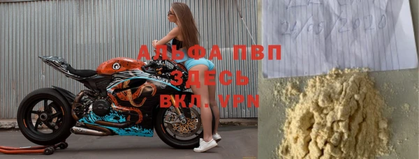 сатива Баксан
