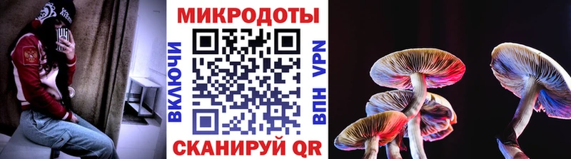 Галлюциногенные грибы Psilocybine cubensis  Красный Холм 